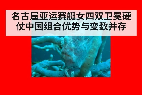 名古屋亚运赛艇女四双卫冕硬仗中国组合优势与变数并存